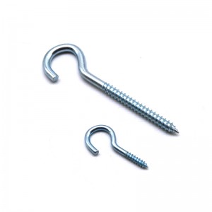 Hook Screw