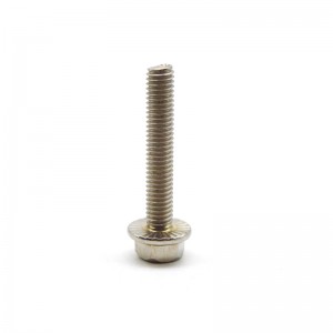 Hex Flange Bolt