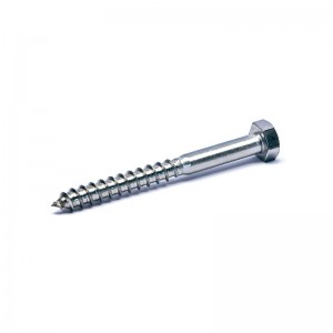 Lag Screw