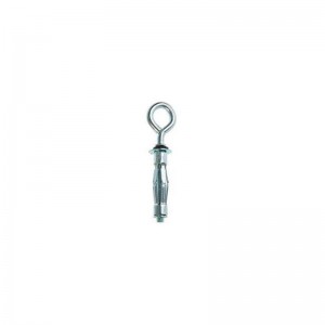 Molly Eye Bolt Hollow Wall Anchor